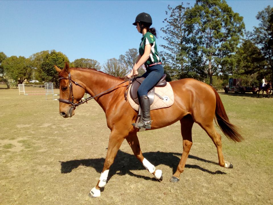 Gympie pony club rallys